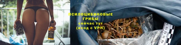 ALPHA-PVP Бугульма